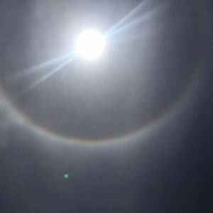 Meet your Posher, Pam